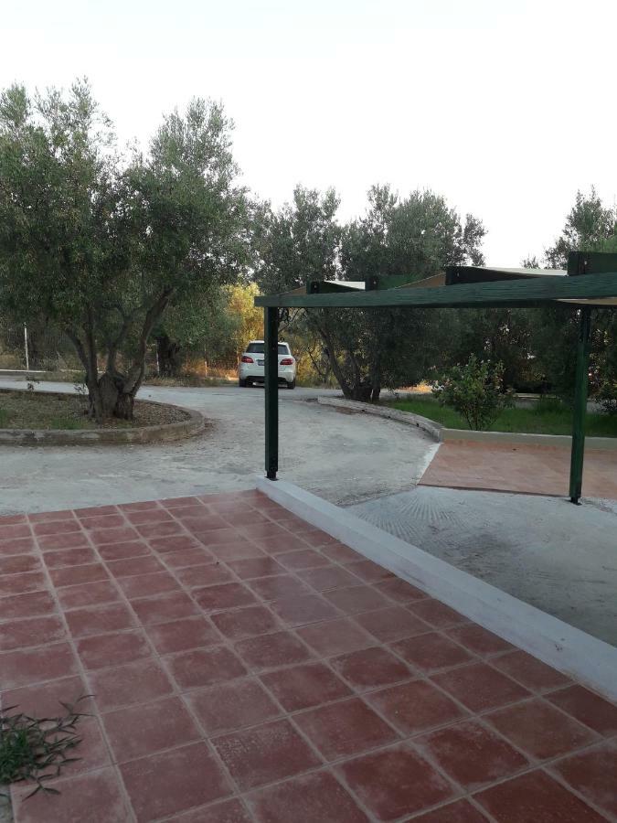 Cozy Apartment Fantastic View Nea Moudania Esterno foto
