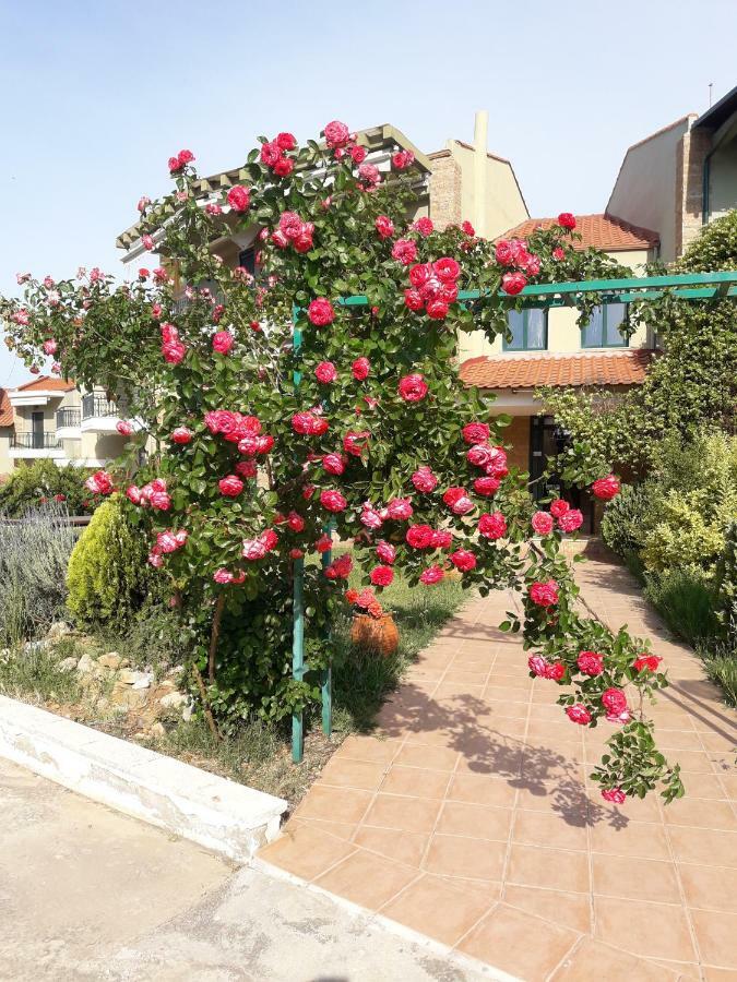 Cozy Apartment Fantastic View Nea Moudania Esterno foto