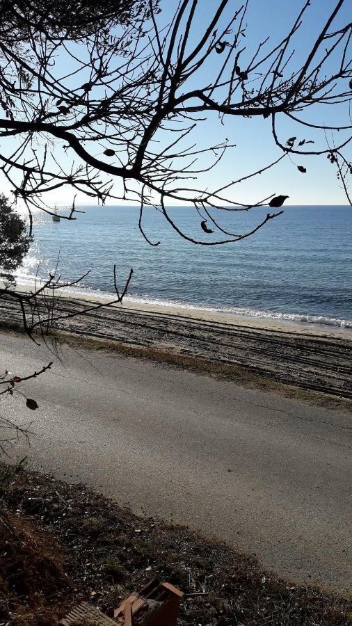 Cozy Apartment Fantastic View Nea Moudania Esterno foto